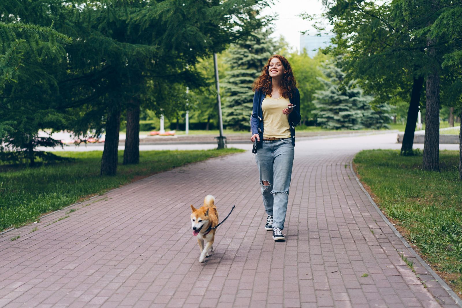 Frau spaziert mit ihrem Hund im Park