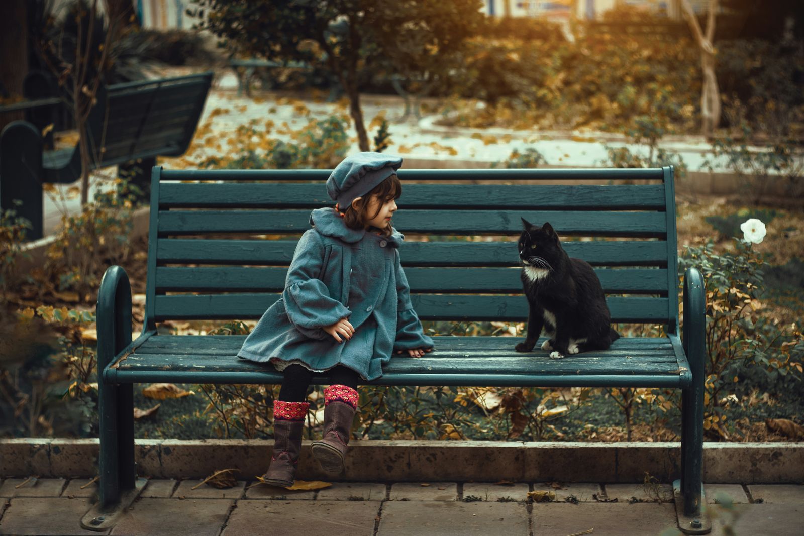 Mädchen und Katze begegnen sich auf einer Parkbank im Herbst